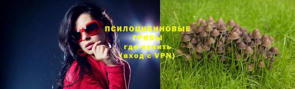 каннабис Коряжма