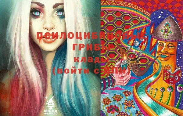 МДПВ Кулебаки