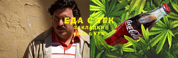 гашик Корсаков