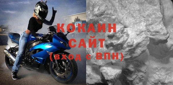гашик Корсаков