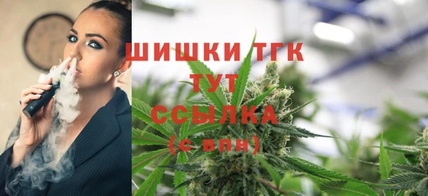 гашик Корсаков
